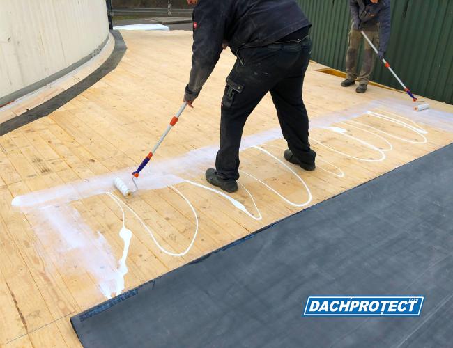 DACHPROTECT EPDM Flächenkleber BlueTek lösemittelfrei